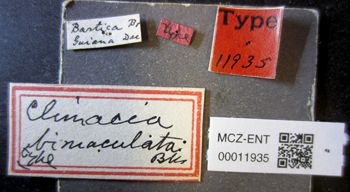 Media type: image;   Entomology 11935 Aspect: labels